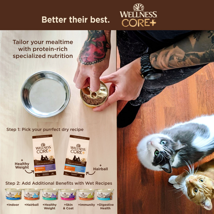 Wellness CORE  Hairball Grain Free Adult Dry Cat Food Chicken & Chicken Meal Recipe
