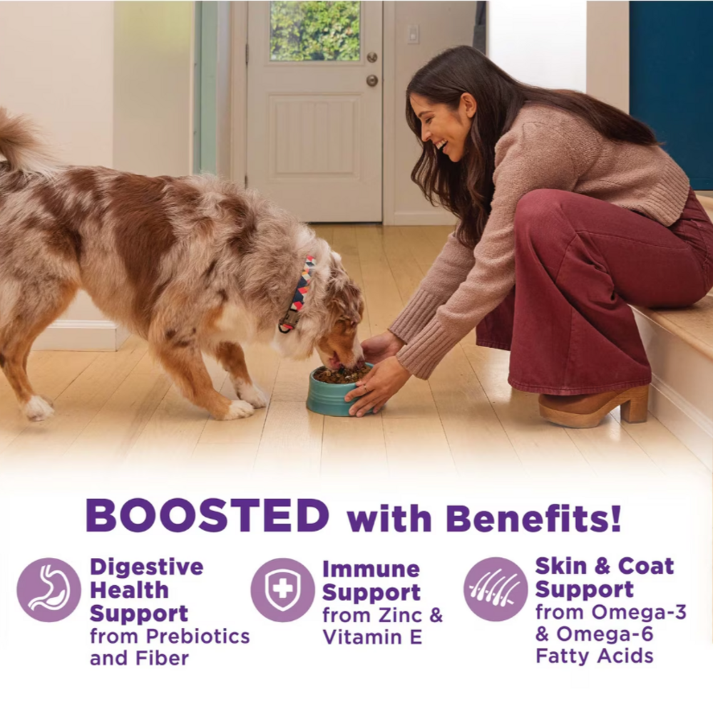 Wellness Bowl Boosters Hearty Toppers Chicken & Pumpkin Recipe in Savory Bone Broth Dog Food Toppers