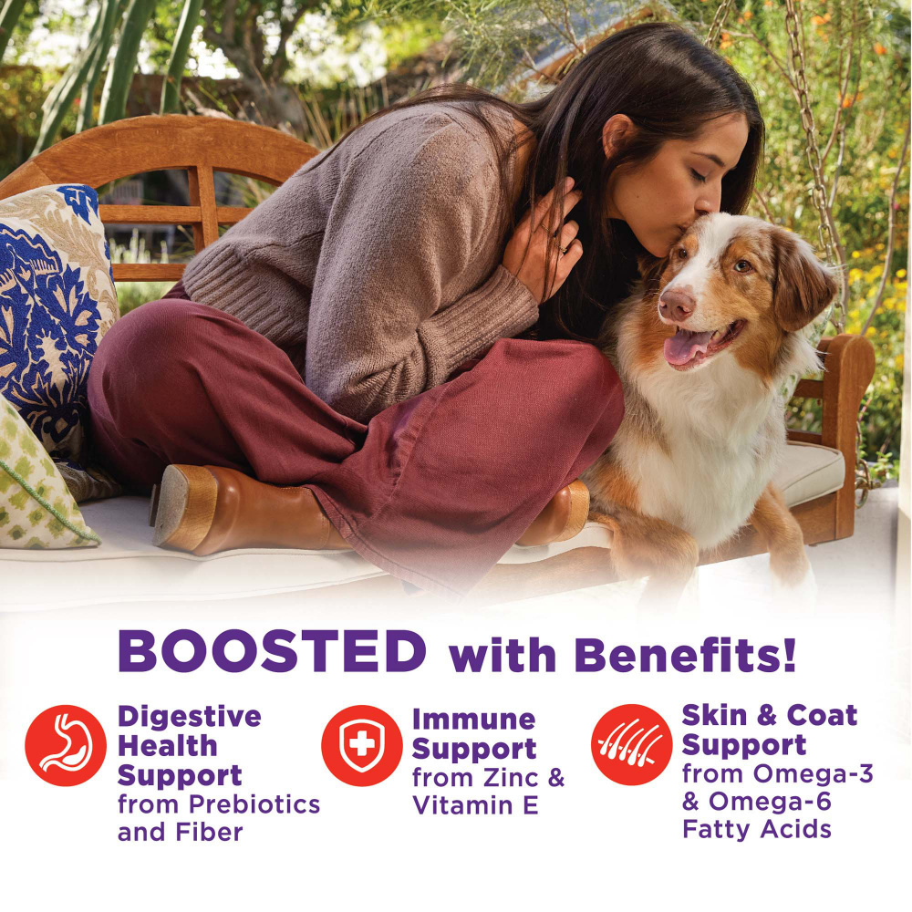 Wellness Bowl Boosters Hearty Toppers Beef & Green Beans Recipe in Savory Bone Broth Dog Food Toppers