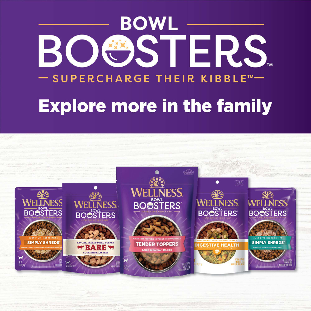 Wellness Bowl Boosters Hearty Toppers Turkey & Sweet Potatoes Recipe in Savory Bone Broth Dog Food Toppers