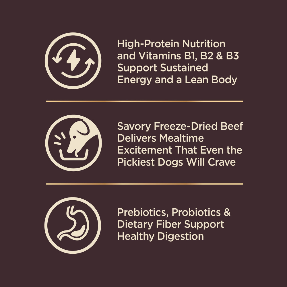 Wellness CORE  Grained Beef & Barley Recipe