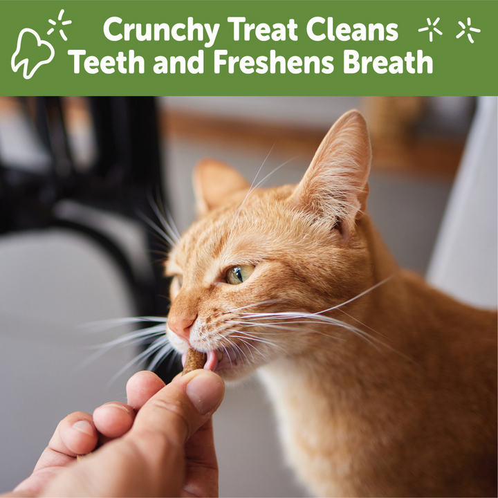 Whimzees Cat Dental Treats Chicken Flavor
