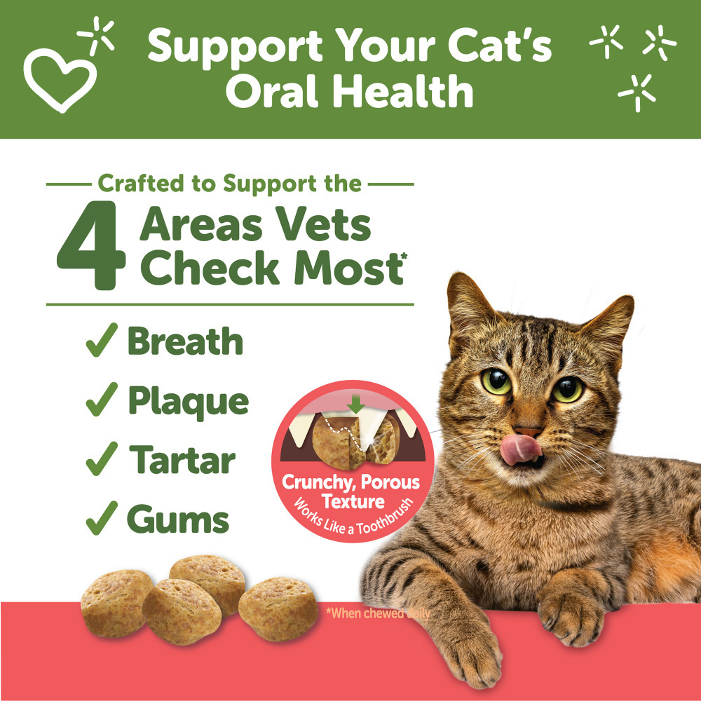 Whimzees Cat Dental Chicken & Salmon Flavor