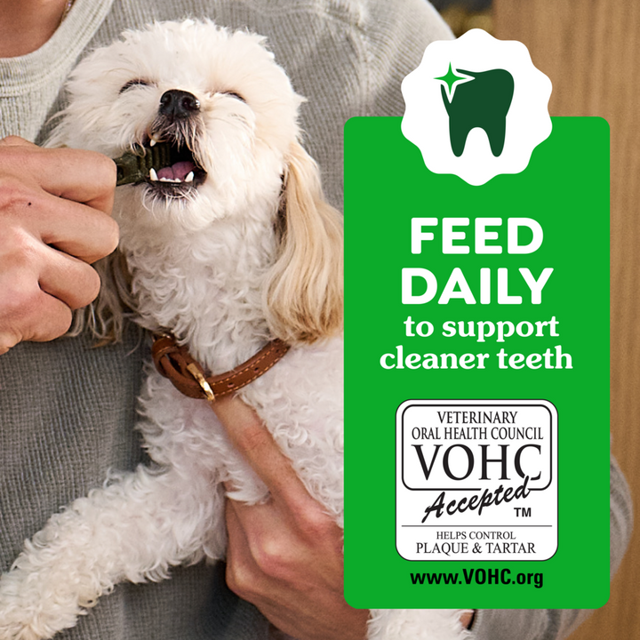 Greenies 6+ Months Puppy Teenie Dental Dog Treats