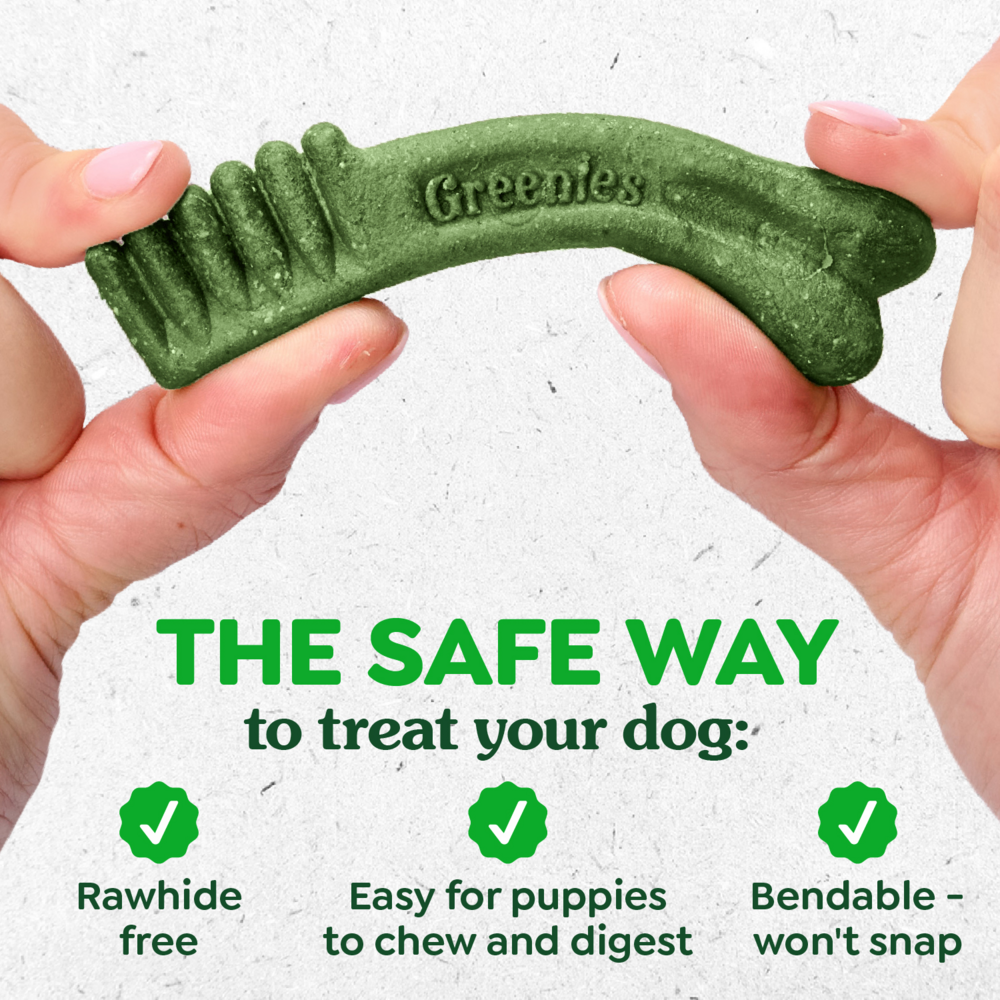 Greenies Natural Dental Puppy Treats Regular Size