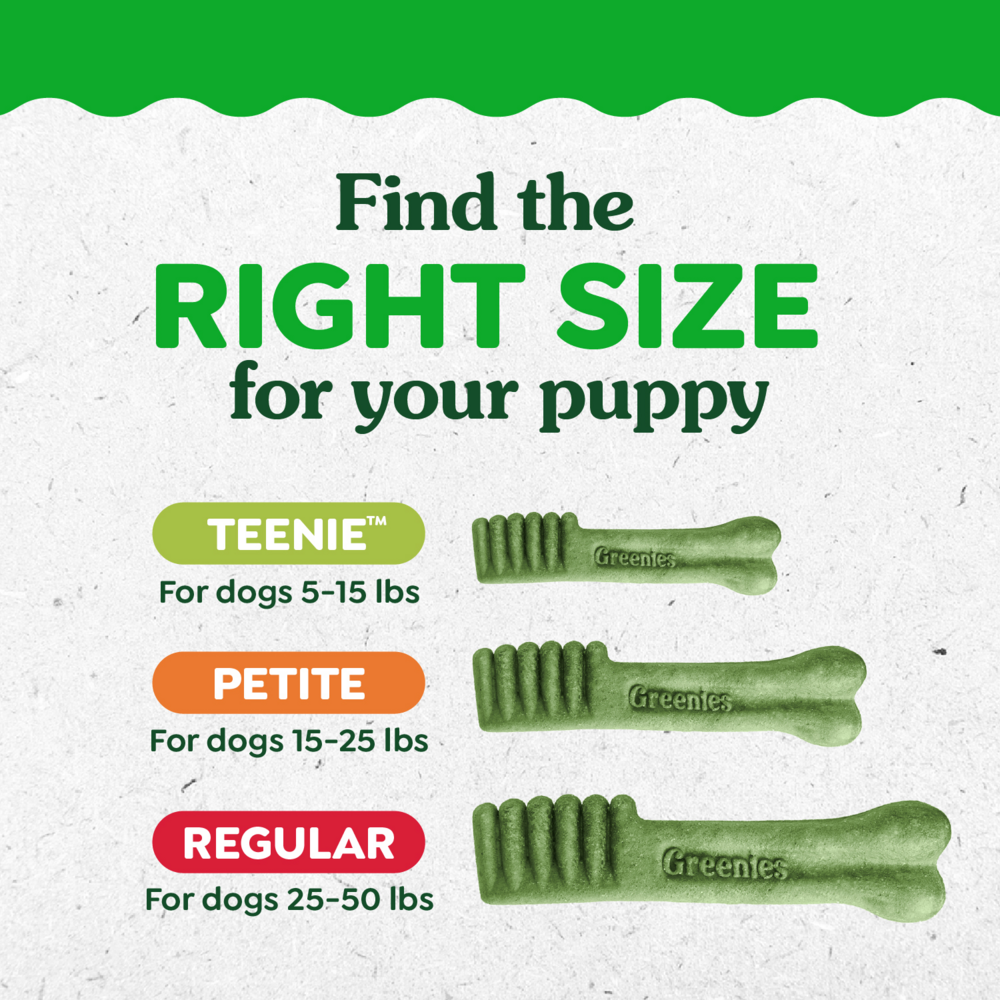 Greenies Natural Dental Puppy Treats Regular Size