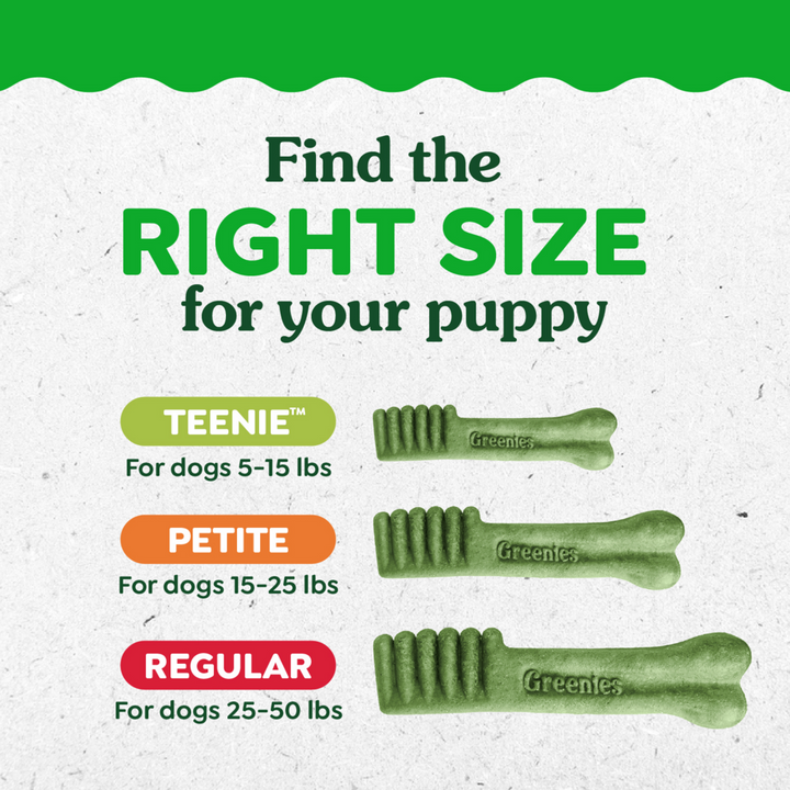 Greenies Natural Dental Puppy Treats Regular Size