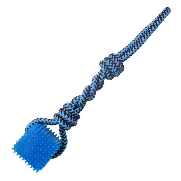 Snugarooz Spike-O-Cube Tug Dog Toy