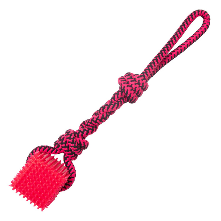 Snugarooz Spike-O-Cube Tug Dog Toy