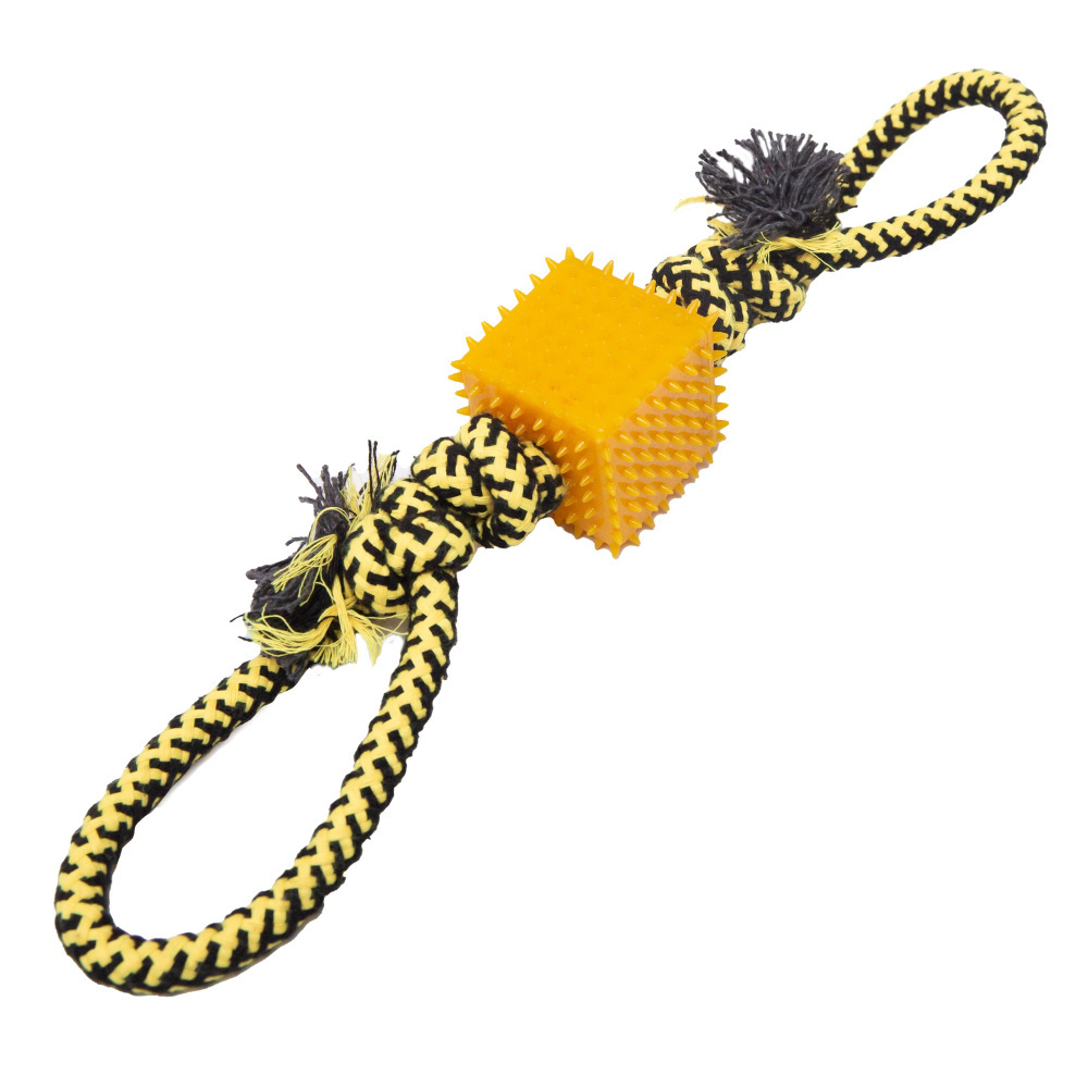 Snugarooz Baby Tug-N-Cube Tug Dog Toy