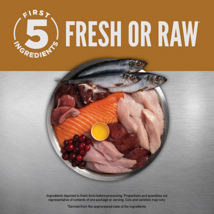 ORIJEN Dry Original Premium, High Protein, Fresh & Raw Animal Ingredients Dry Cat Food