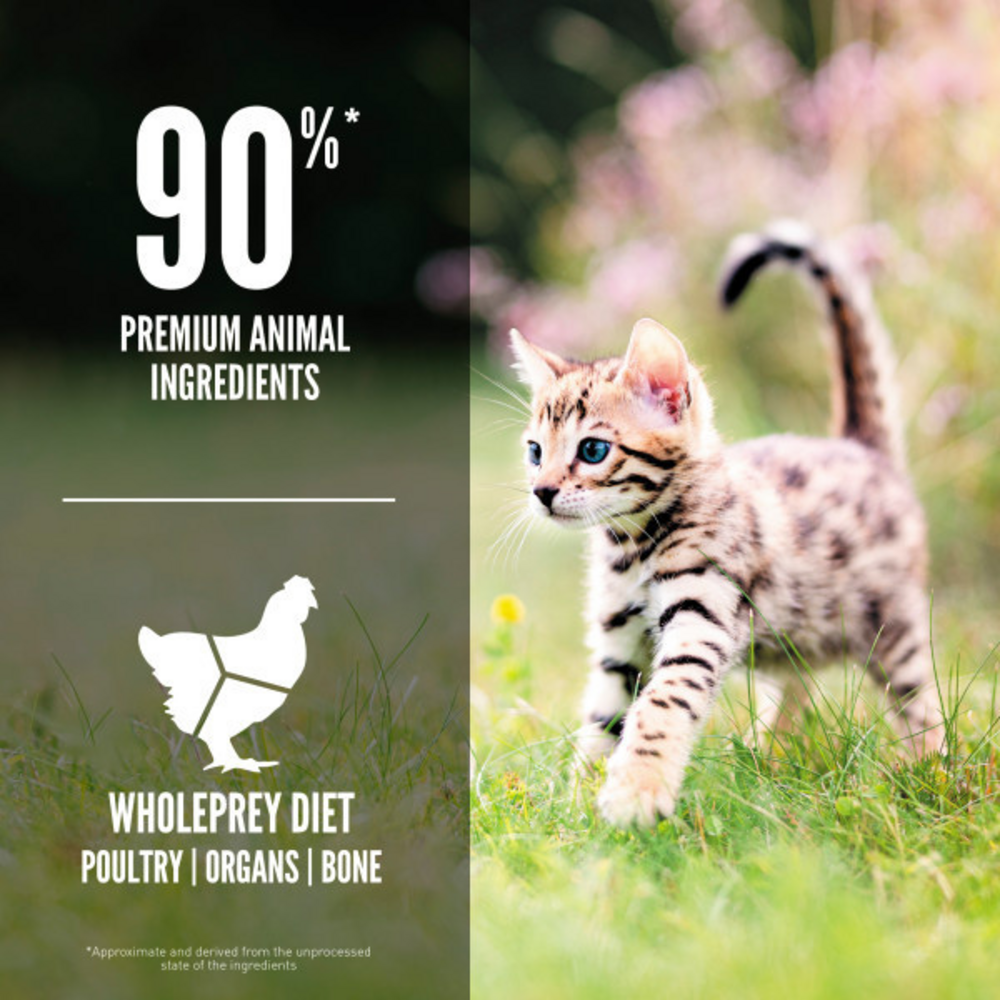 ORIJEN Grain Free, Premium, High Protein, Fresh & Raw Animal Ingredients Dry Kitten Food