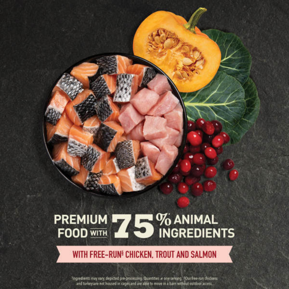 ACANA Highest Protein  Indoor Cat Recipe Dry Cat Food