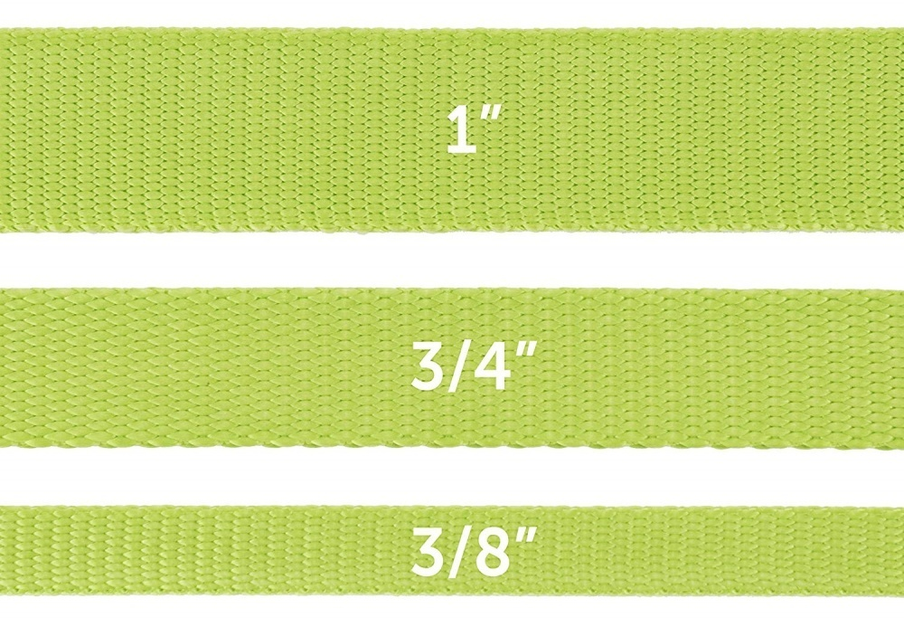 PetSafe Premier Apple Green Nylon Dog Leash