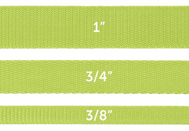 PetSafe Premier Apple Green Nylon Dog Leash