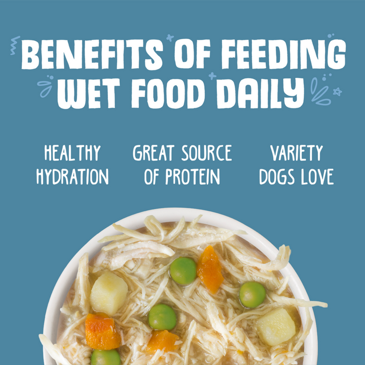 Weruva Grandma's Chicken Soup with Chicken & Veggies Canned Dog Food