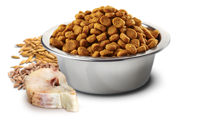 Farmina Ocean N&D Natural & Delicious Medium & Maxi Adult Cod, Spelt, Oats & Orange Dry Dog Food