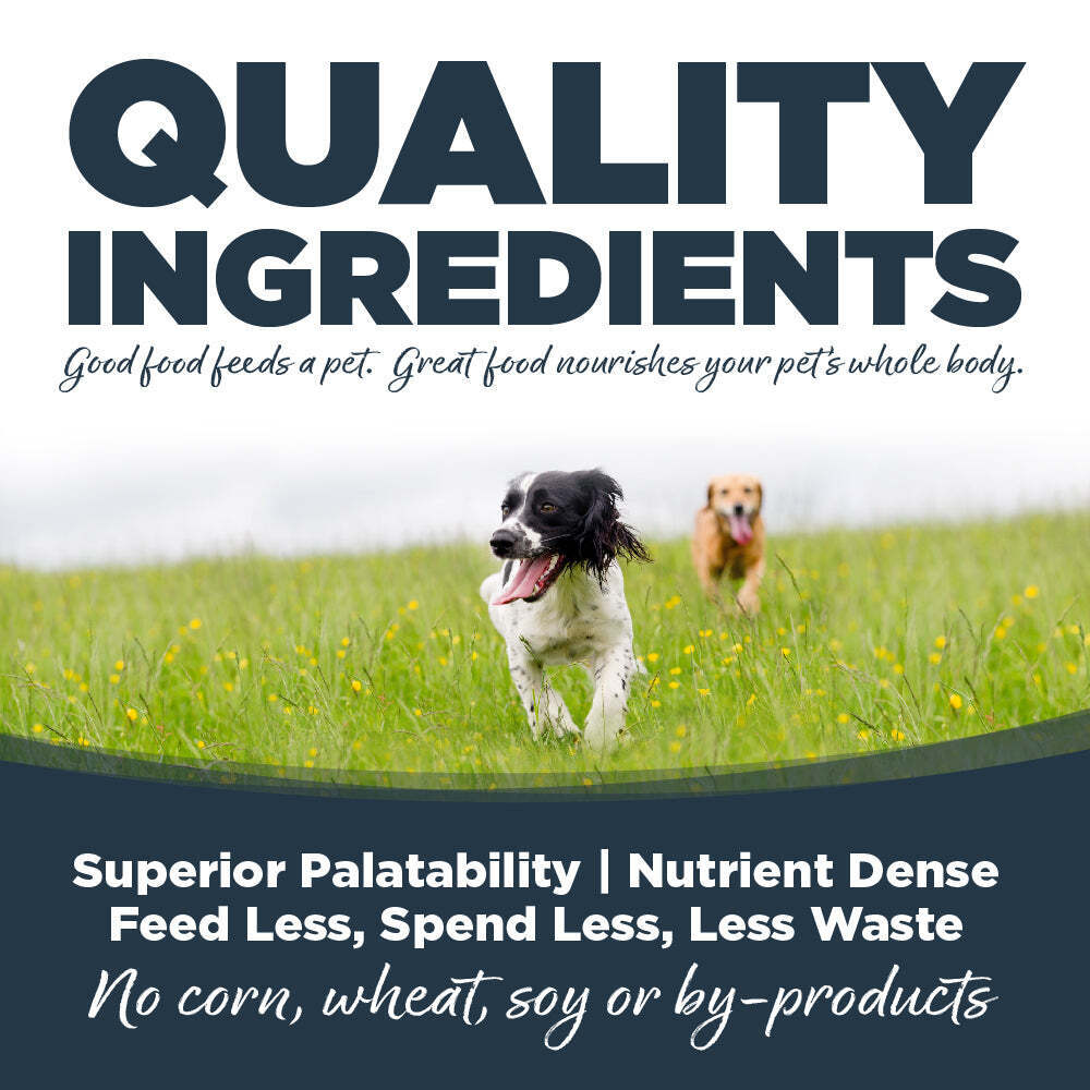 NutriSource Northern Feast Dog Food