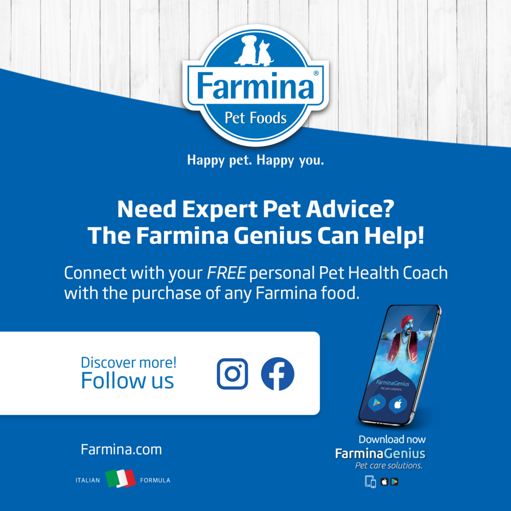 Farmina N&D Prime Canine Chicken & Pomegranate Puppy Wet Dog Food