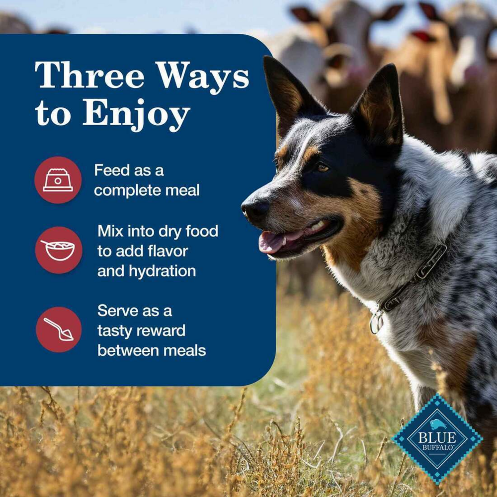 Blue Buffalo Homestyle Recipe Adult Beef Dinner with Garden Vegetables Canned Dog Food