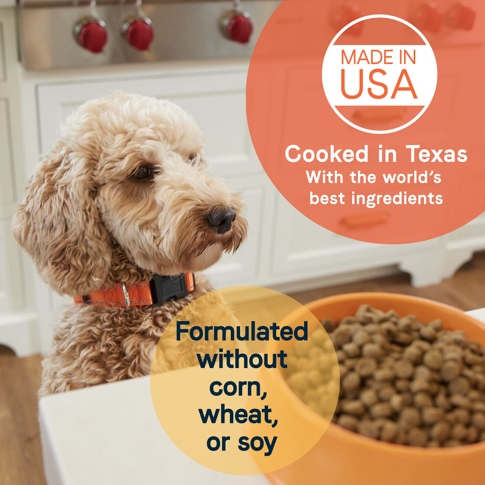 Canidae All Life Stages Dry Dog Food, Real Lamb & Ancient Grains Recipe