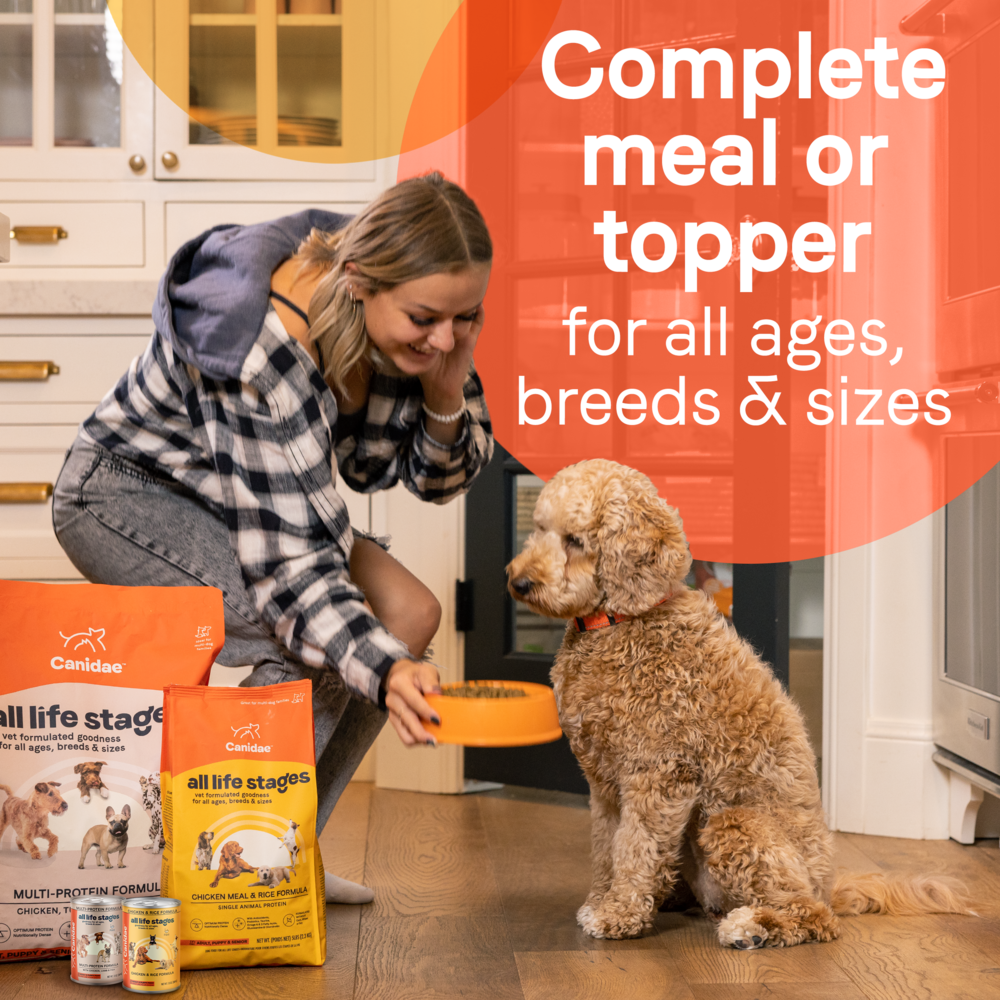 Canidae All Life Stages Wet Dog Food, Lamb & Rice Recipe
