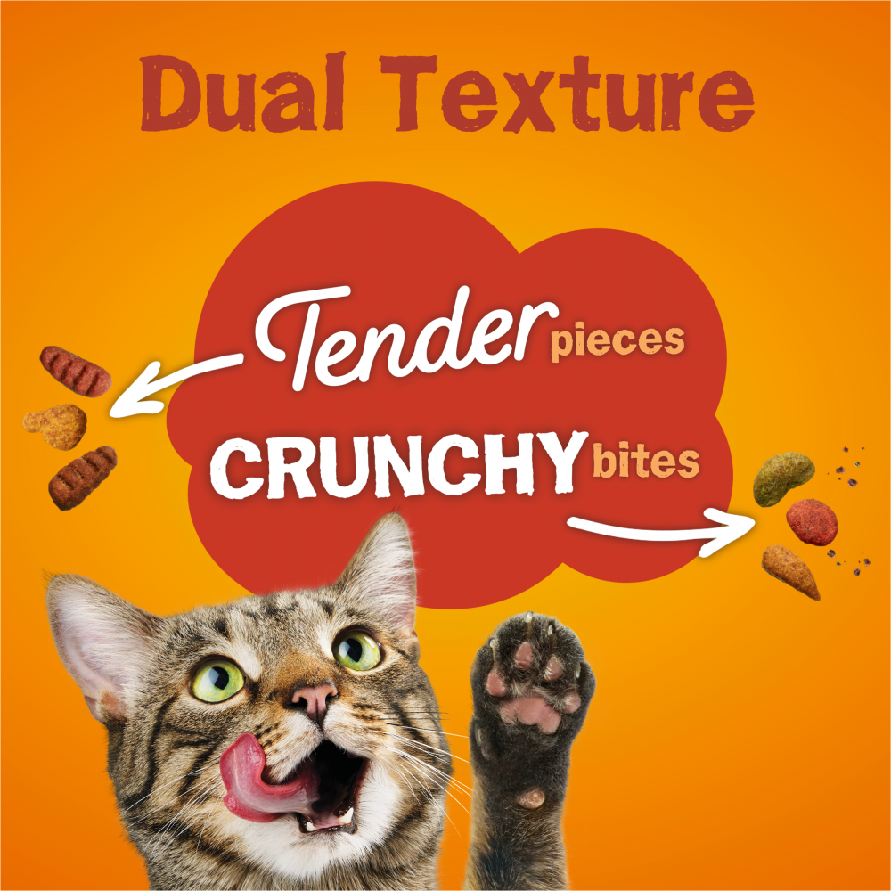 Friskies Tender and Crunch'd Dry Cat Food