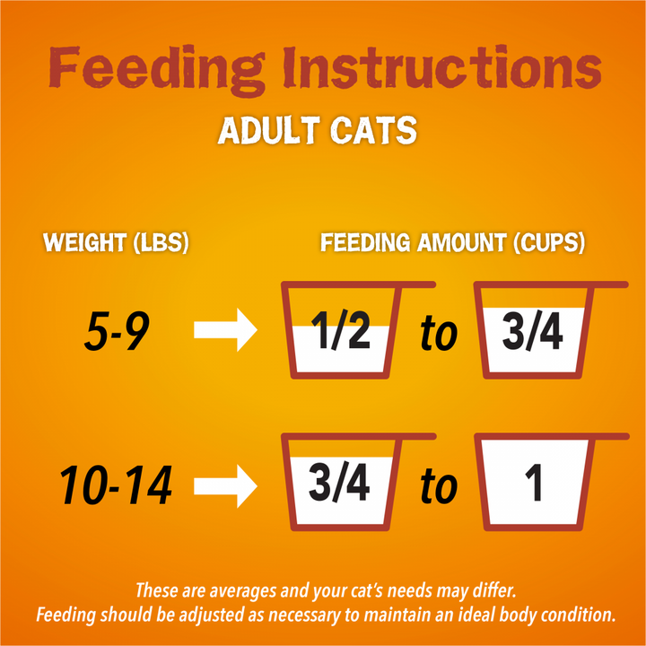 Friskies Tender and Crunch'd Dry Cat Food