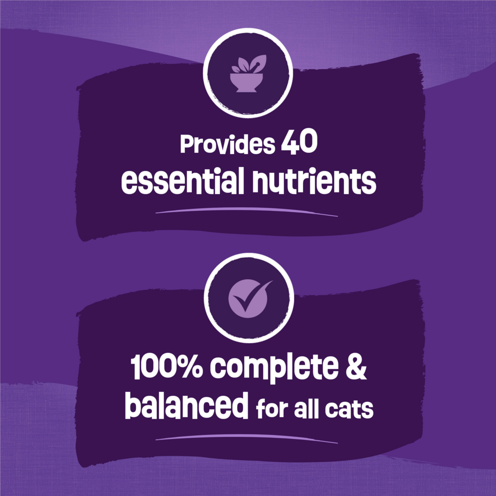 Purina Friskies Cat Food Surfin and Turfin Favorites Flavors of Chicken, Whitefish, Salmon and Filet Mignon Dry Cat Food