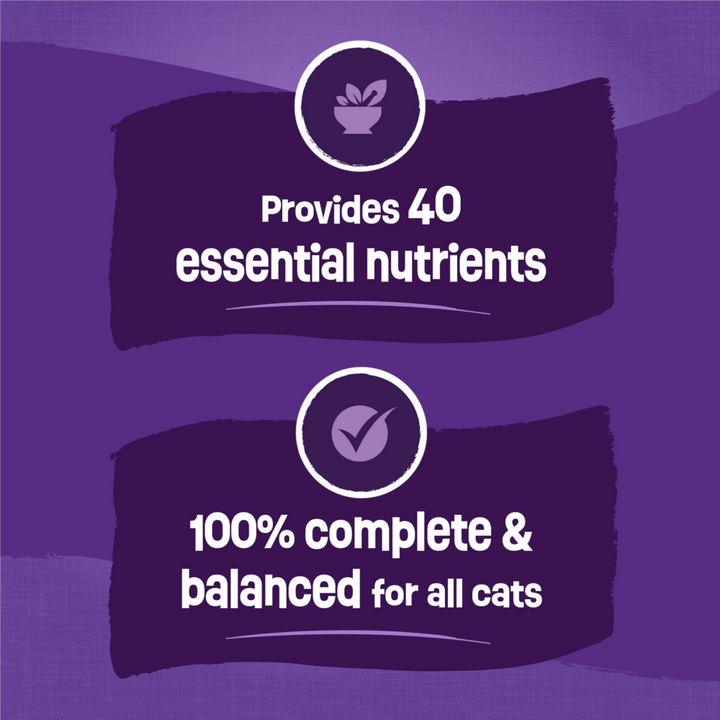 Purina Friskies Cat Food Surfin and Turfin Favorites Flavors of Chicken, Whitefish, Salmon and Filet Mignon Dry Cat Food