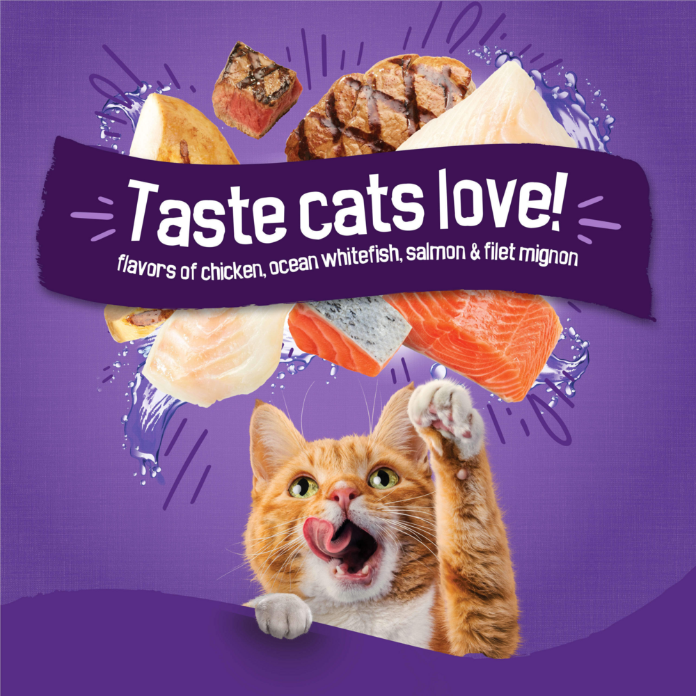 Friskies Cat Food Surfin and Turfin Favorites Dry Cat Food