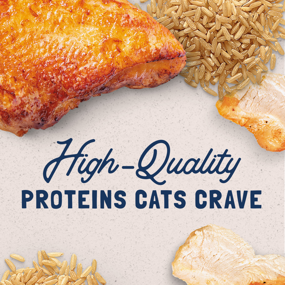 Natural Balance Original Ultra Wet Cat Food, Chicken & Liver Recipe