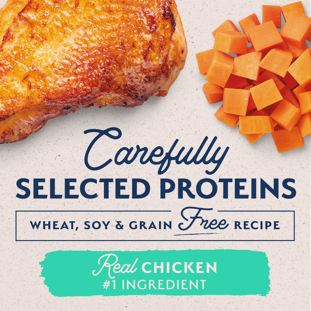Natural Balance Limited Ingredient Wet Dog Food, Chicken & Sweet Potato Recipe