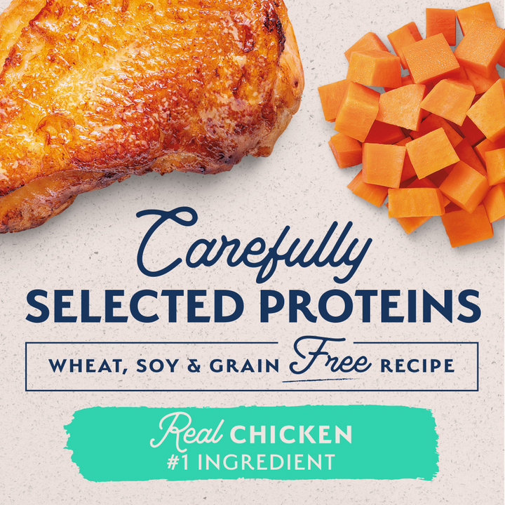 Natural Balance Limited Ingredient Wet Dog Food, Chicken & Sweet Potato Recipe