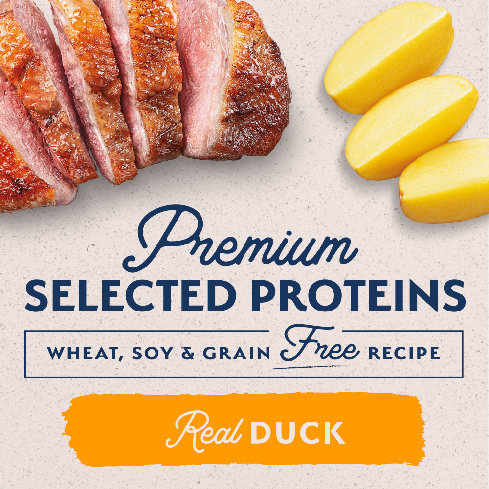 Natural Balance Limited Ingredient Reserve Wet Dog Food, Duck & Potato Recipe