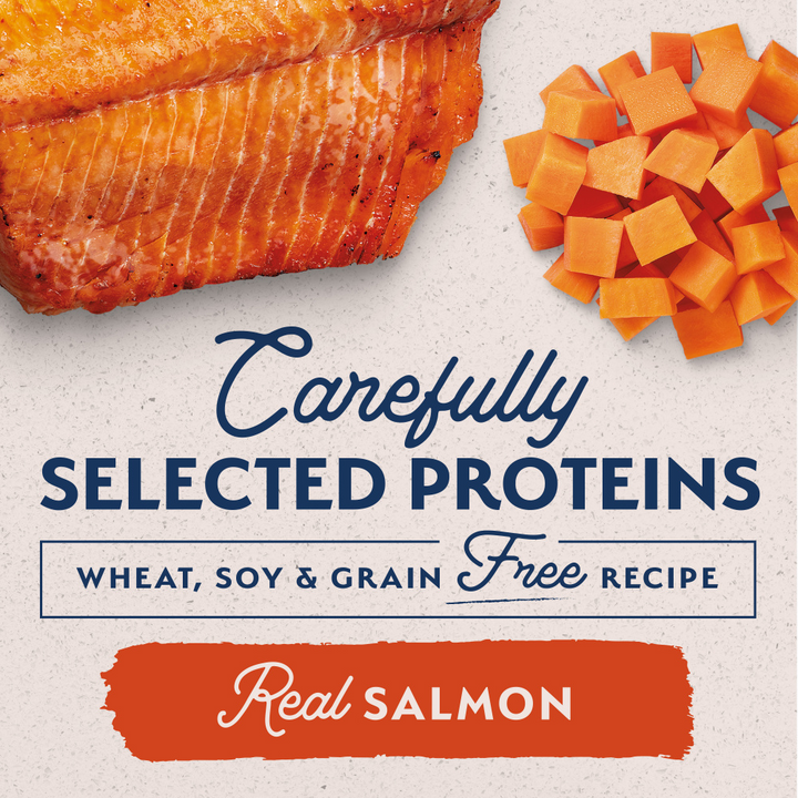 Natural Balance Limited Ingredient Wet Dog Food, Sweet Potato & Salmon Recipe