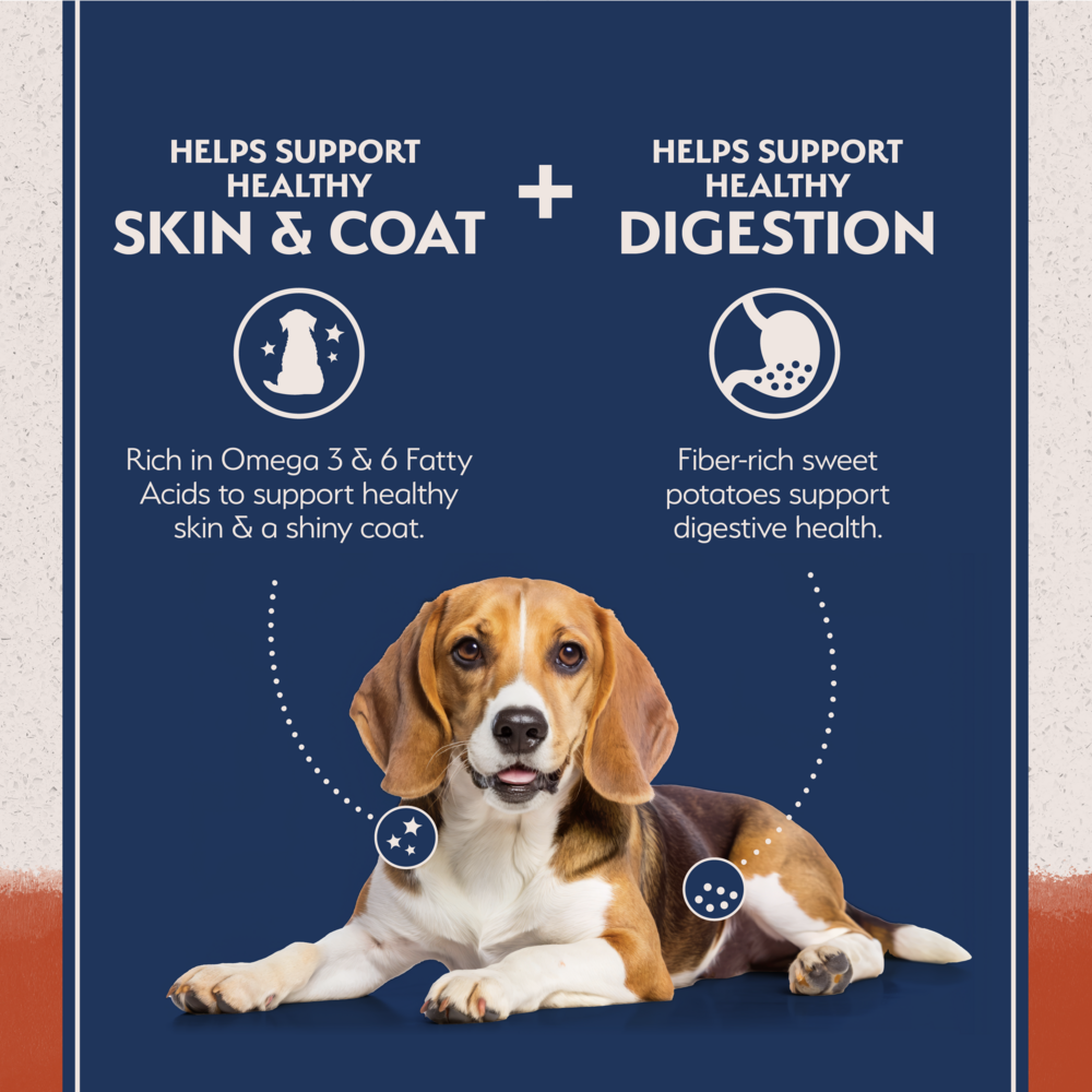 Natural Balance Limited Ingredient Grain Free Dry Dog Food, Salmon & Sweet Potato Recipe
