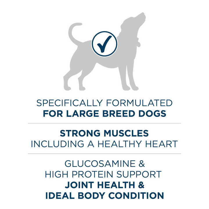 One Large Breed Dry Dog Food