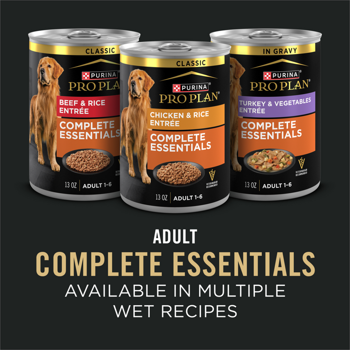 ProPlan Shredded Blend Chicken and Rice Dry Dog Food