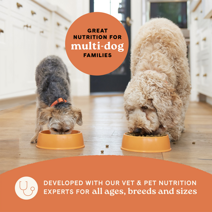 Canidae All Life Stages Dry Dog Food, Multi-Protein Recipe