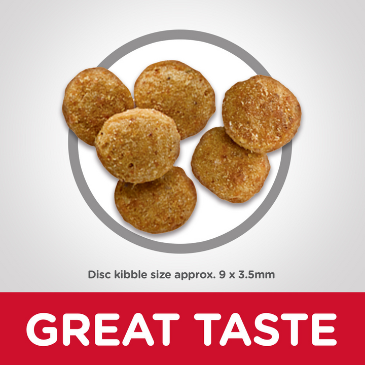 Hill's Science Diet Adult Light Chicken Recipe Dry Cat Food