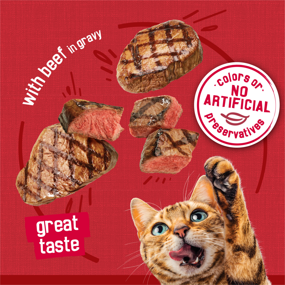 Friskies Prime Filets Beef in Gravy Wet Cat Food