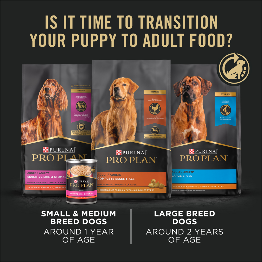 ProPlan Chicken and Rice Dry Puppy Food