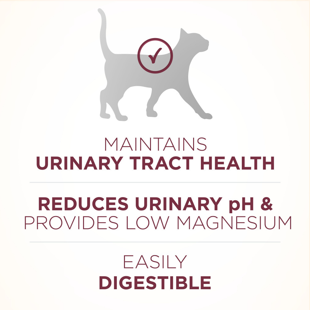 One Urinary Tract Health Dry Cat Food