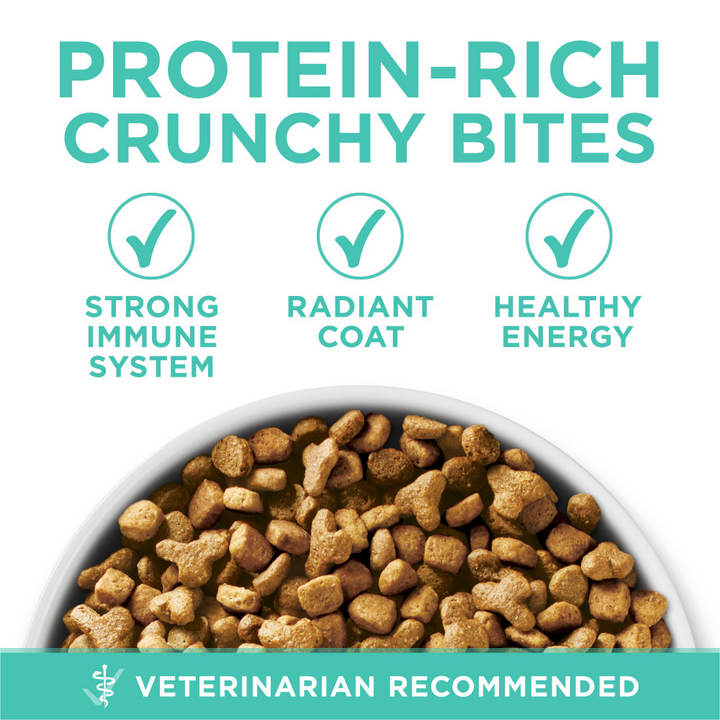 One Sensitive Skin and Stomach Dry Cat Food