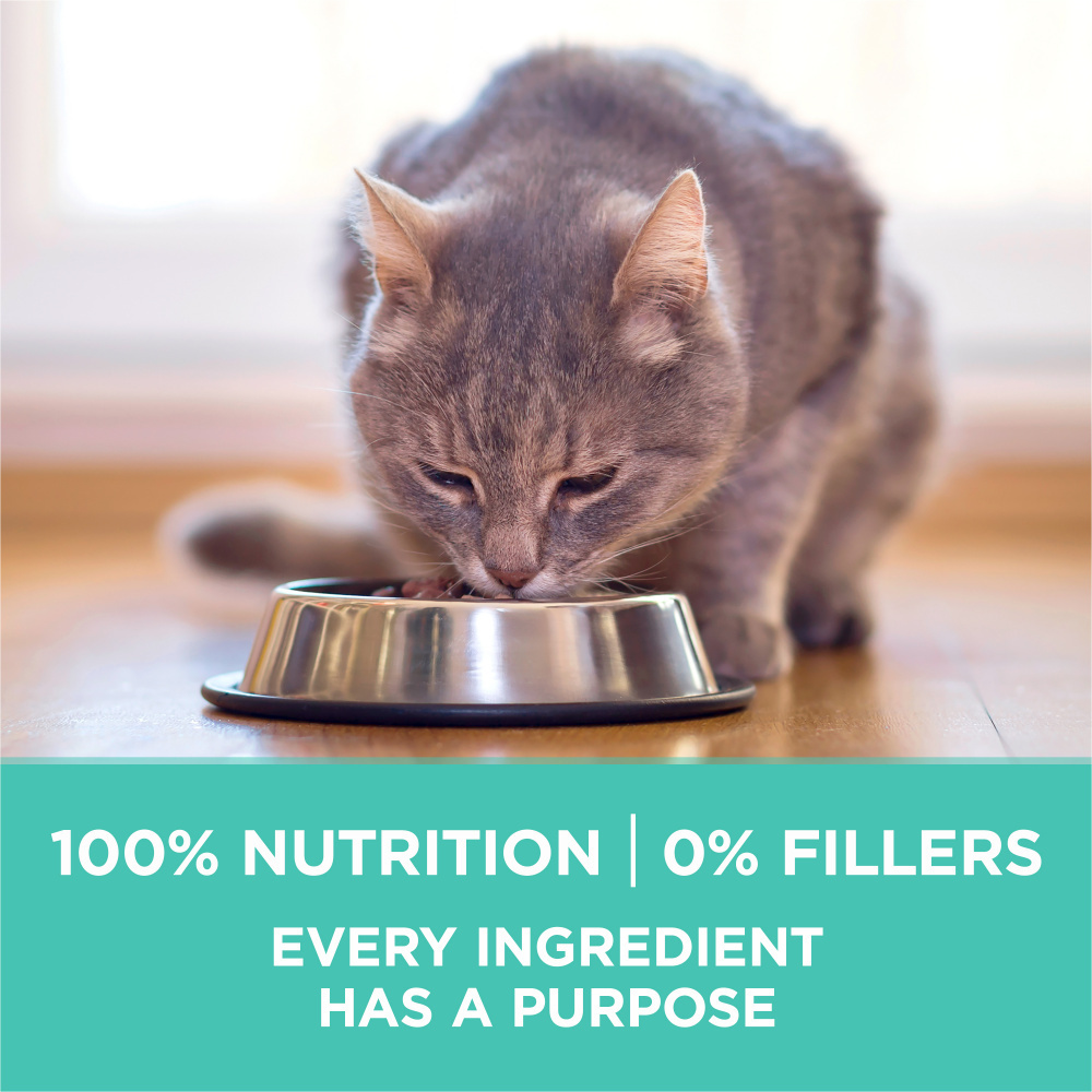 One Sensitive Skin and Stomach Dry Cat Food