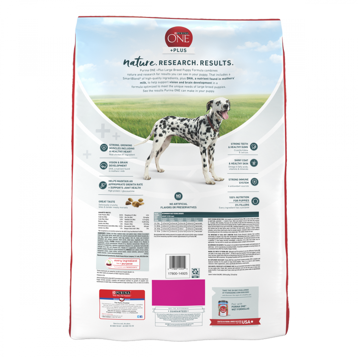 One Large Breed Dry Puppy Food