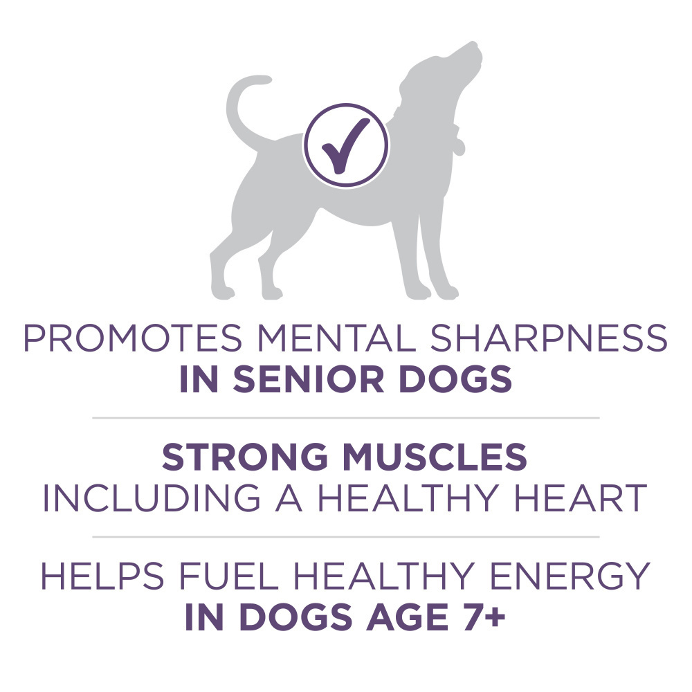 One SmartBlend Vibrant Maturity Senior 7+ Dry Dog Food