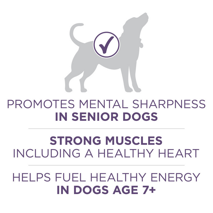 One SmartBlend Vibrant Maturity Senior 7+ Dry Dog Food