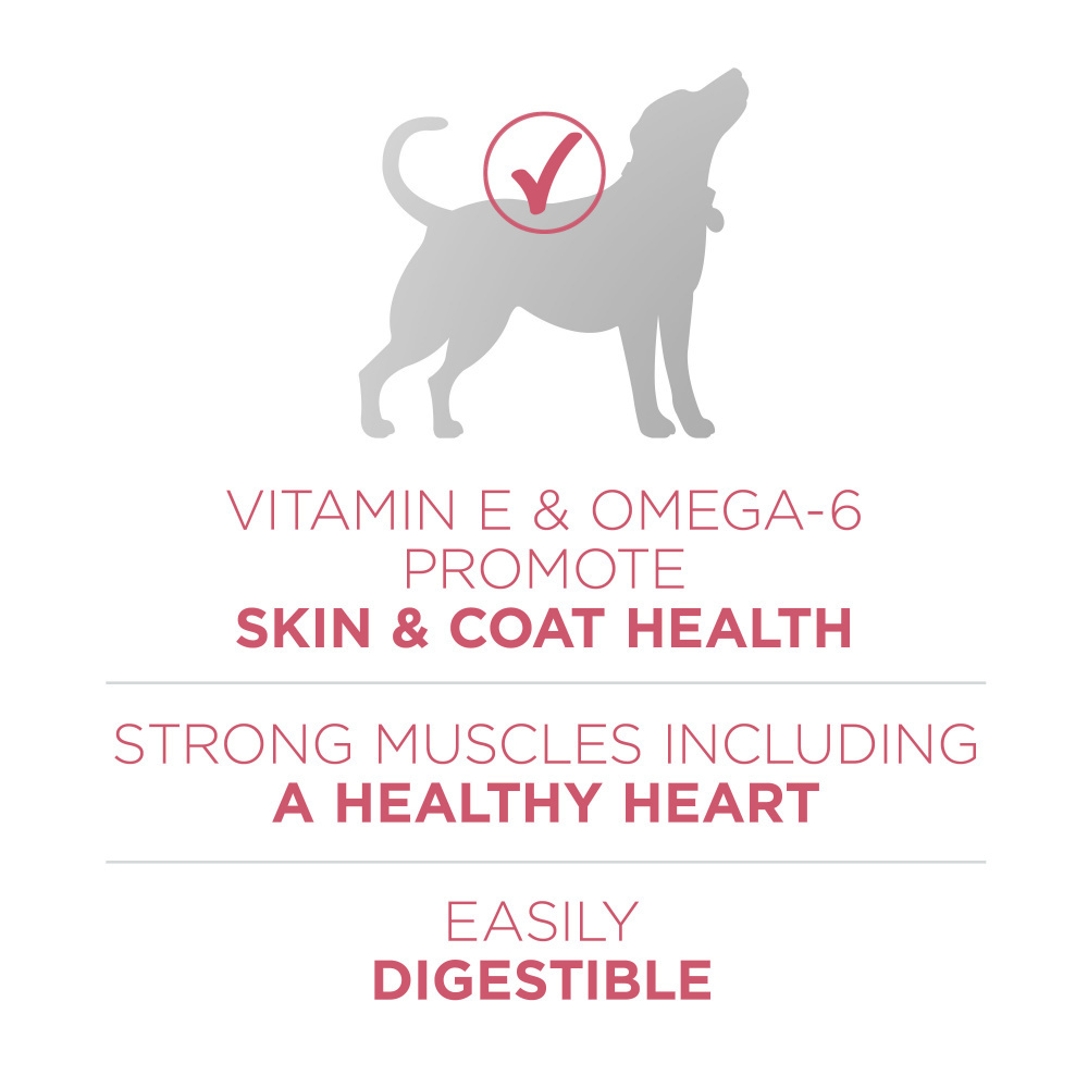 One Plus Skin & Coat Dry Dog Food